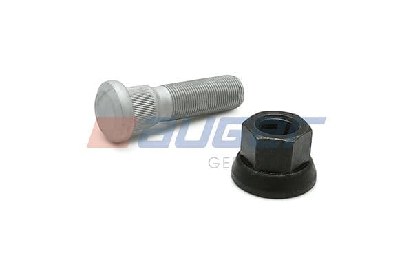 Wheel bolt