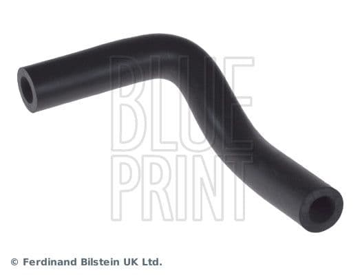 Hose, crankcase ventilation