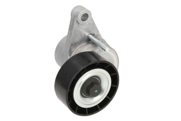 Multi-V riemspanner past: CITROEN C2, C2 ENTERPRISE, C3 I, C3 II, C3 PLURIEL, C4, C4 I, C4 II, C-ELYSEE  PEUGEOT 1007, 2008 I, 207, 208 II, 301, 307, 308 I, 408 1.1-1.6LPG 08.00-