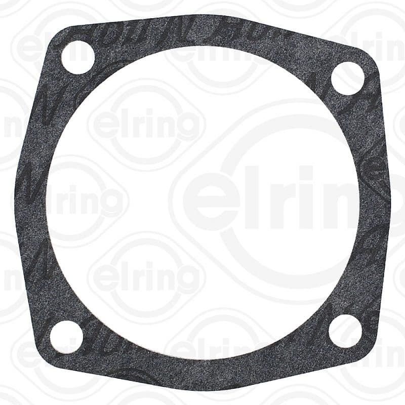Thermostat gasket