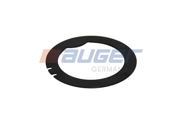 Synchromesh element past: SCANIA 3, 4, G I, P I, R I, T 05.87-05.19