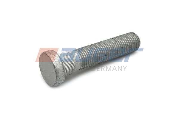 Wheel bolt