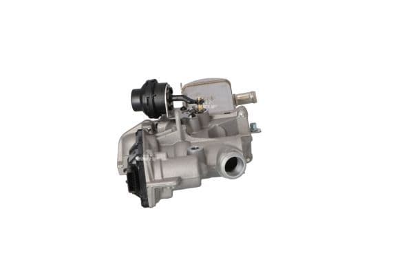 EGR-klep (module met radiator) past: RENAULT GRAND SCENIC II, LAGUNA II, MEGANE II, SCENIC II  SUZUKI GRAND VITARA II 1.9D 11.02-