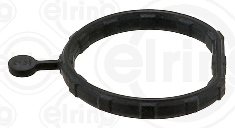 Gasket, coolant flange