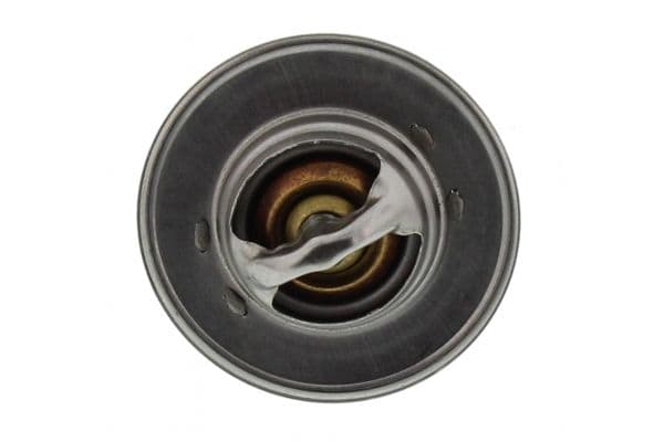 Brake disc Voor Links/Rechts past: VW CALIFORNIA T5 CAMPER, CALIFORNIA T6 CAMPER, MULTIVAN T5, MULTIVAN T6, TOUAREG, TRANSPORTER T4, TRANSPORTER T5, TRANSPORTER T6 1.9D-6.0 10.92-08.24