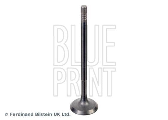 Intake Valve