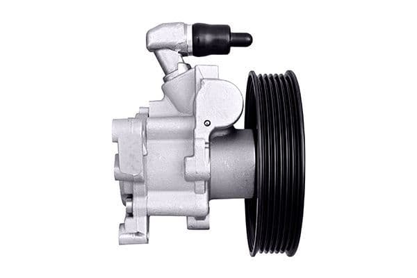 Hydraulische pomp, stuurbekrachtiging (nieuw) past: MERCEDES M (W163) 3.2-5.4 02.98-06.05