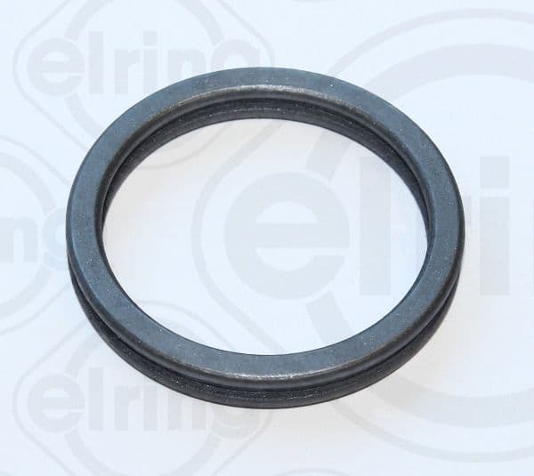Gasket, coolant flange