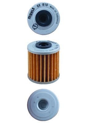 ATV and motorcycle hoists