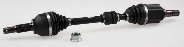 Kern van de aandrijfas past: NISSAN JUKE 06.10-12.19