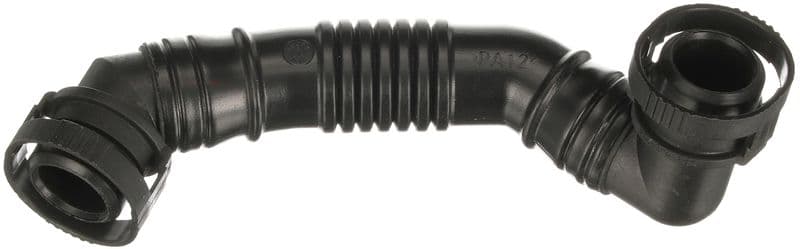Hose, crankcase ventilation