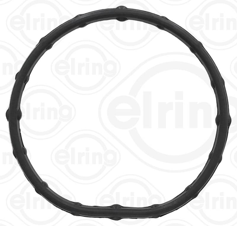 Gasket, coolant flange