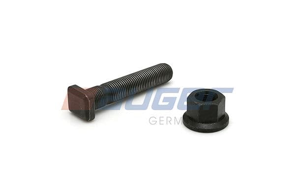 Wheel bolt