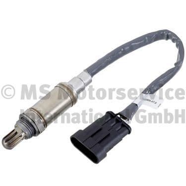 Oxygen Sensor