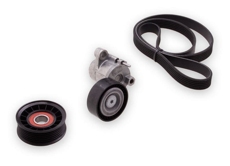 Multi-V-riem (6PK1250)