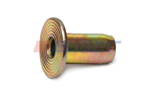 Rivet, drum brake lining