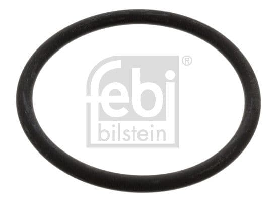 Thermostat gasket