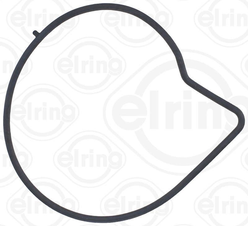 Water pump gasket