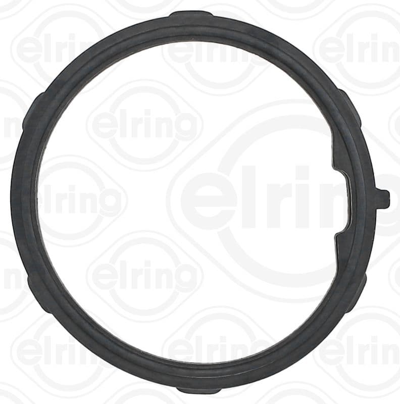 Thermostat gasket
