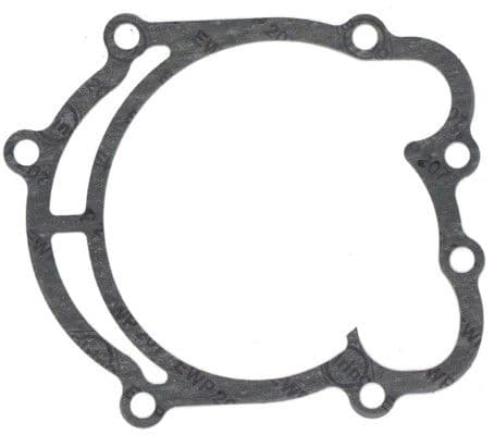 Water pump gasket