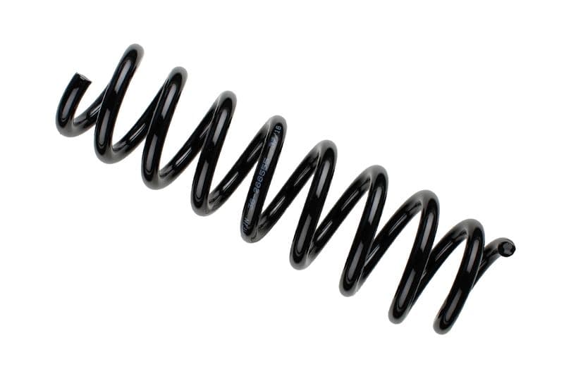 Coil spring