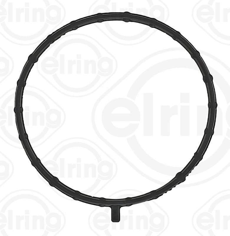 Gasket, timing case cover