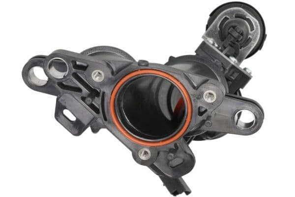 Strangler past: CITROEN C4 PICASSO I  PEUGEOT 3008 I 2.0D/2.0DH 09.10-08.16