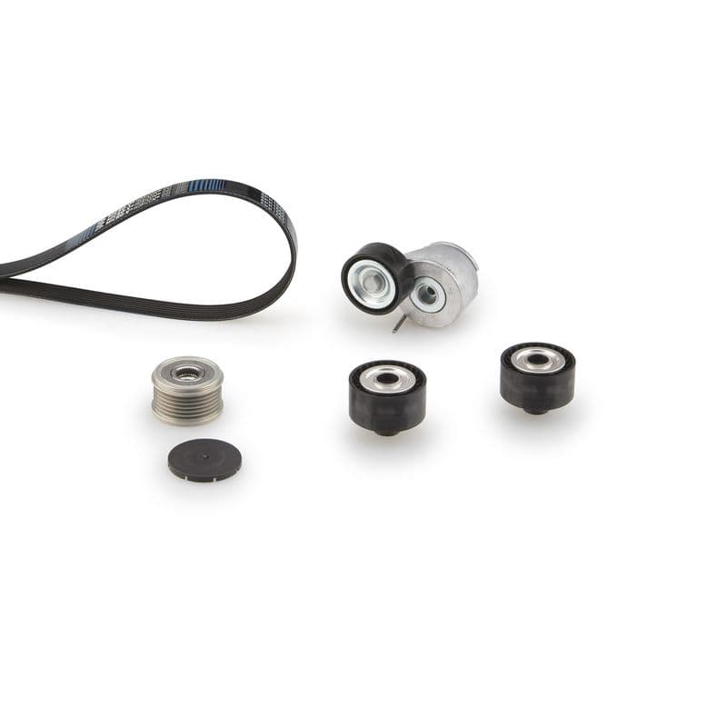 Multi-V-riem (6PK1353)