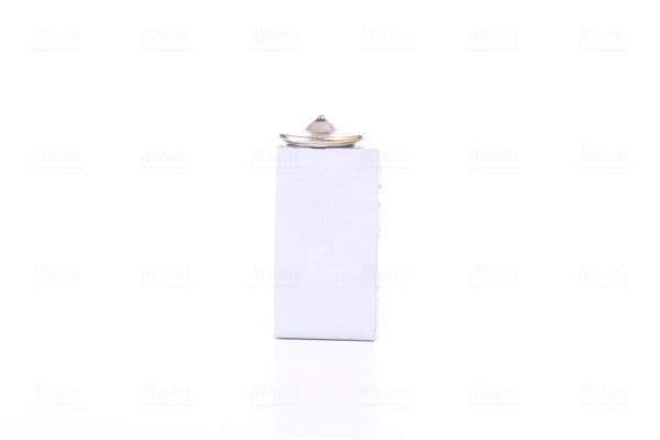 Airconditioning ventiel past: RVI MASCOTT  CITROEN XANTIA  DACIA DUSTER, LOGAN, LOGAN EXPRESS, LOGAN MCV, SANDERO  LADA LARGUS  RENAULT CLIO II, CLIO III, DUSTER, FLUENCE 1.2-3.0D 03.93-