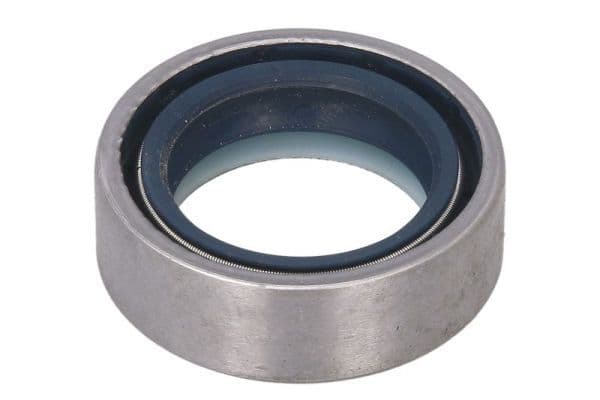 Gasket, differential