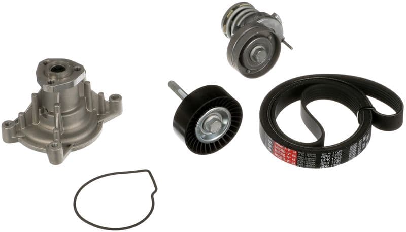 V-snaren set (met rollen) past: AUDI A1, A3  SEAT ALTEA, ALTEA XL, LEON, TOLEDO III  SKODA OCTAVIA II, SUPERB II, YETI  VW EOS, GOLF PLUS, GOLF PLUS V, GOLF V, GOLF VI, JETTA III 1.4 05.07-07.18