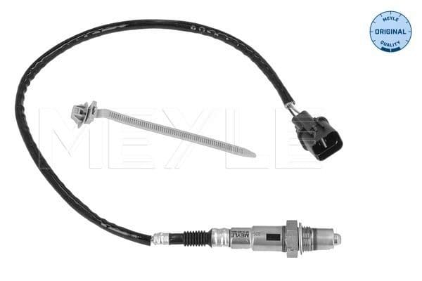 Oxygen Sensor
