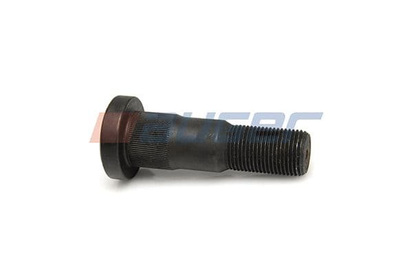 Wheel bolt