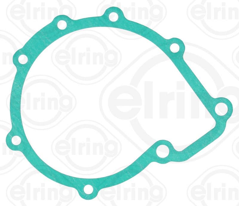 Water pump gasket