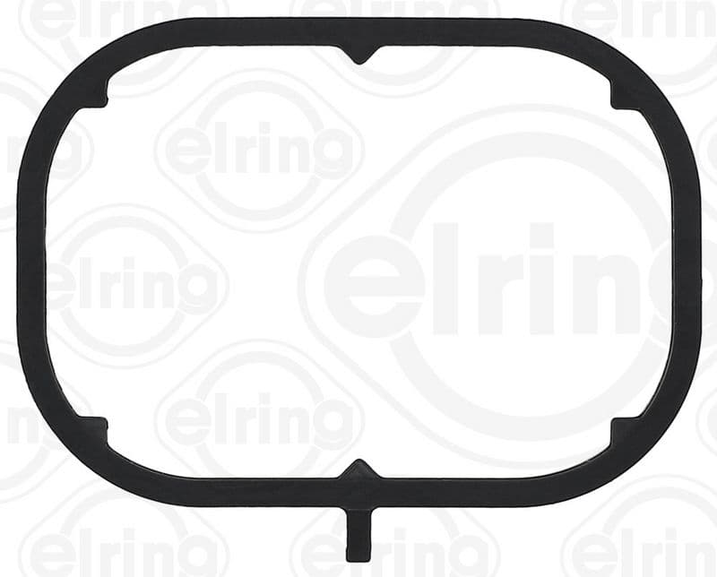 Gasket, thermostat housing