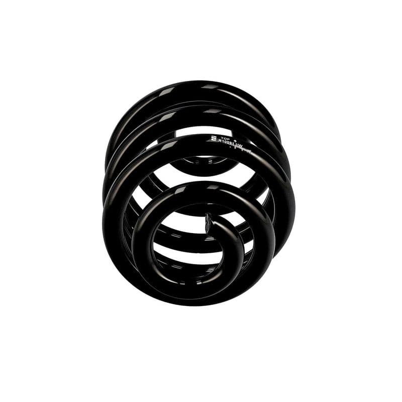 Spiraalveer Achter Links/Rechts past: AUDI A3, TT  VW GOLF IV 1.8-2.8 12.96-06.06