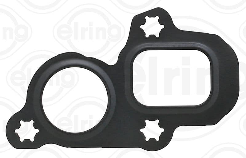 Water pump gasket