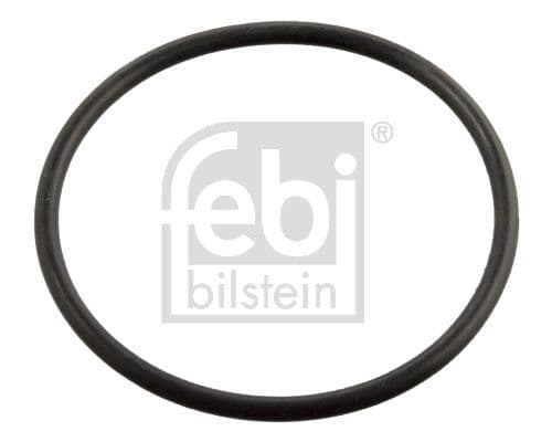 Thermostat gasket