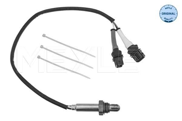 Oxygen Sensor