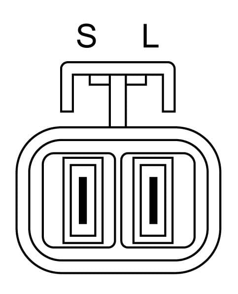 Dynamo (14V, 110A, gereviseerd) past: HYUNDAI TERRACAN  KIA CARNIVAL II 2.5D/2.9D 10.01-12.06