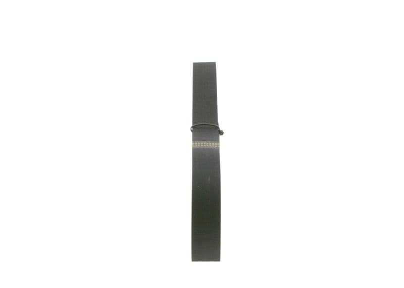 V-ribbed Belt