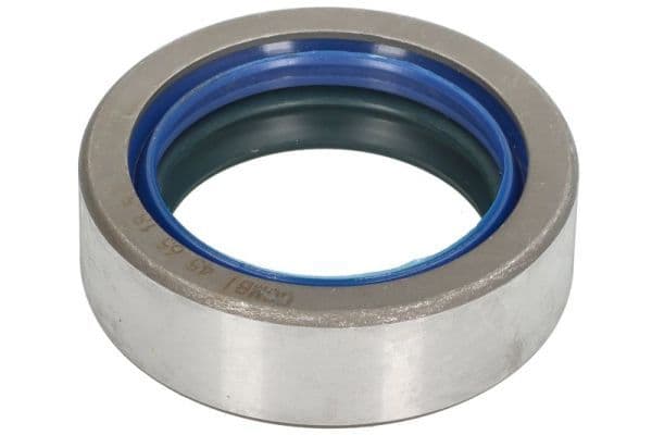 Gasket, differential