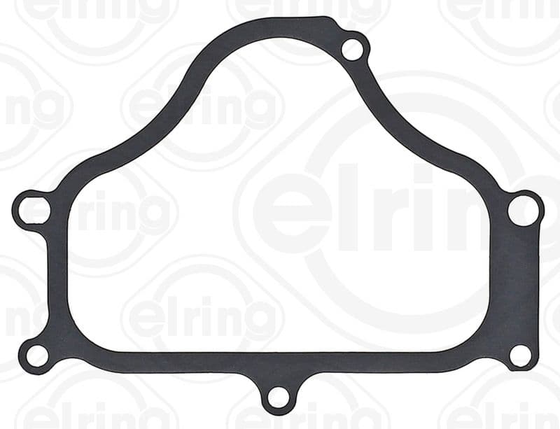 Gasket, timing case cover