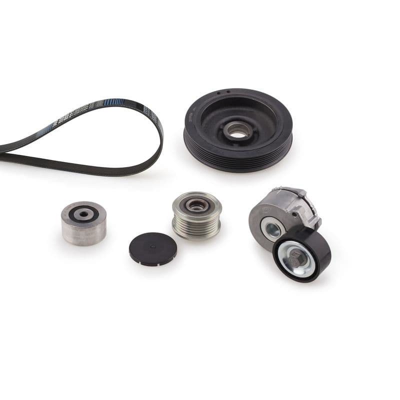 Multi-V-riem (6PK1153)