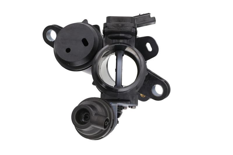 Strangler past: CITROEN C4 PICASSO I  PEUGEOT 3008 I 2.0D/2.0DH 09.10-08.16