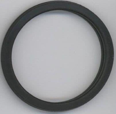 Thermostat gasket