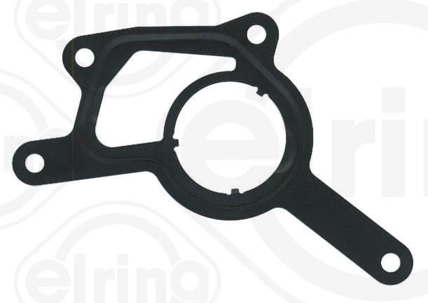 Gasket, vacuum pump