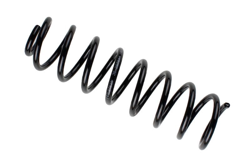 Coil spring