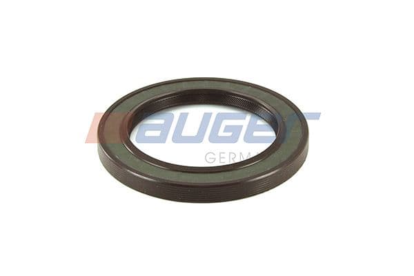 Shaft Seal, differential