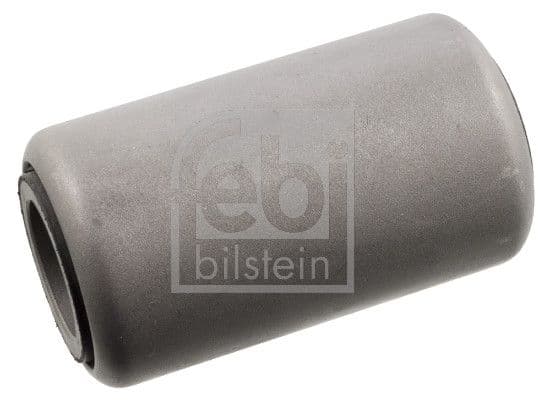Bushing, leaf spring